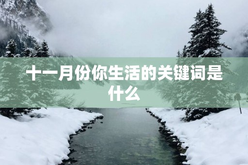 十一月份你生活的关键词是什么