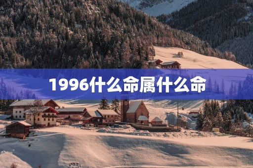 1996什么命属什么命