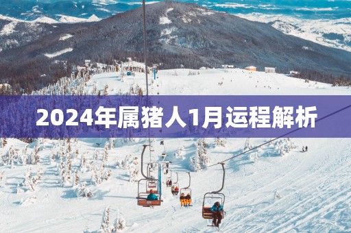 2025年属猪人1月运程解析