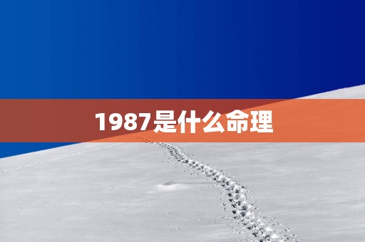 1987是什么命理