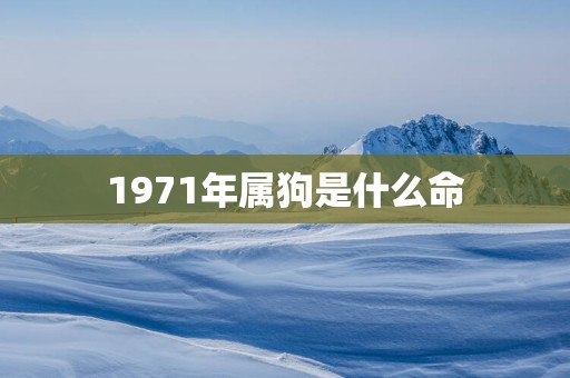 1971年属狗是什么命 1971年属狗是什么命