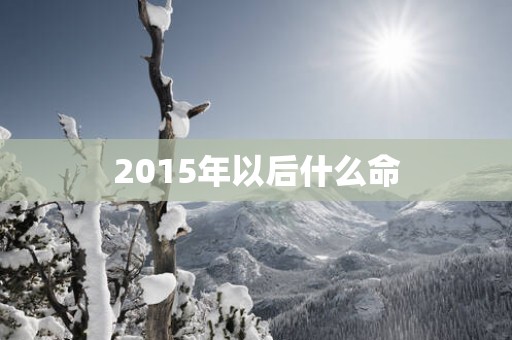 2015年以后什么命