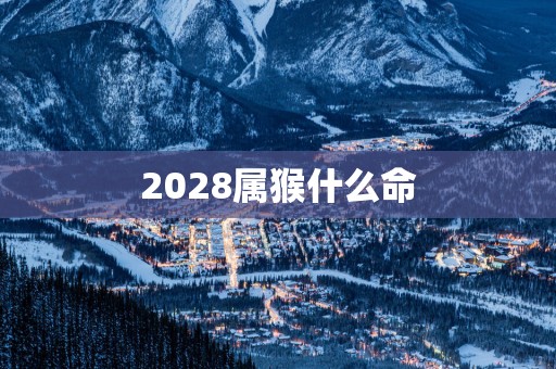2028属猴什么命