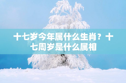 十七岁今年属什么生肖？十七周岁是什么属相