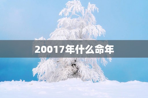 20017年什么命年