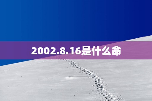 2002.8.16是什么命