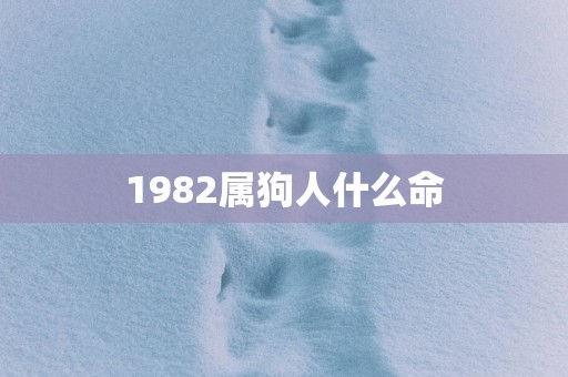 1982属狗人什么命
