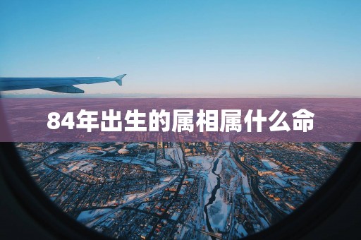 84年出生的属相属什么命