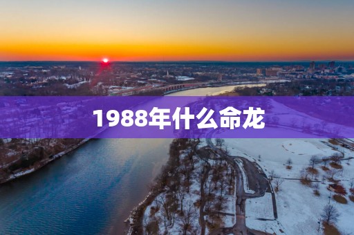 1988年什么命龙