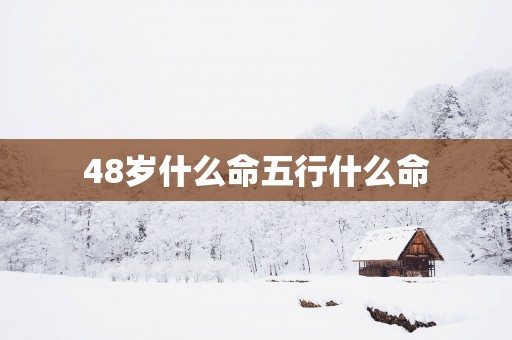 48岁什么命五行什么命
