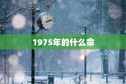 1975年的什么命