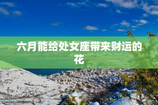 六月能给处女座带来财运的花