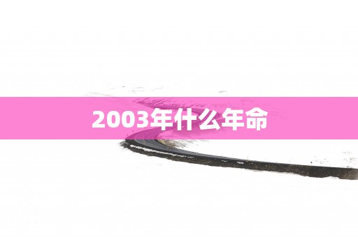 2003年什么年命
