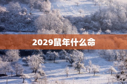 2029蛇年什么命