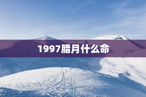 1997腊月什么命