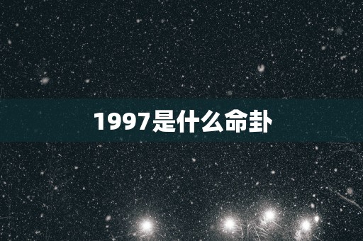 1997是什么命卦