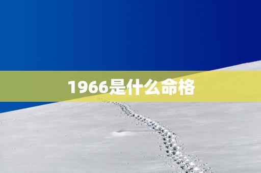 1966是什么命格