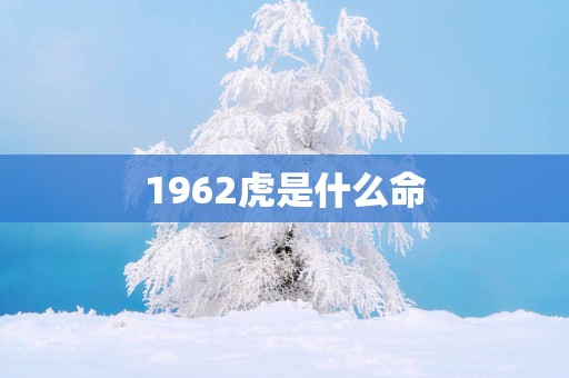 1962虎是什么命