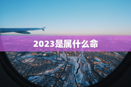 2025是属什么命