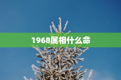 1968属相什么命
