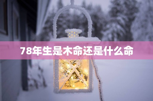 78年生是木命还是什么命