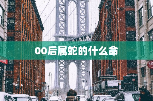 00后属蛇的什么命