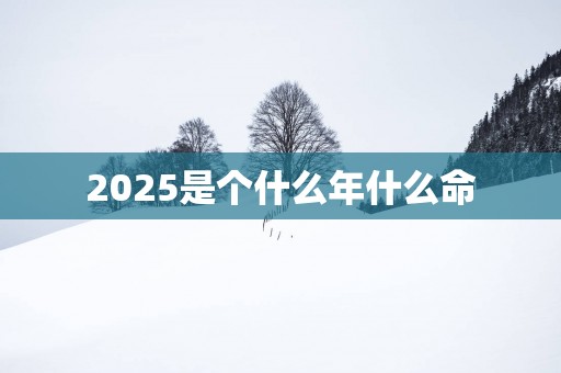 2025是个什么年什么命