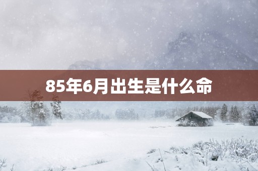 85年6月出生是什么命