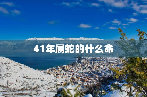 41年属蛇的什么命
