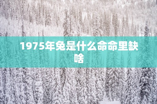 1975年兔是什么命命里缺啥