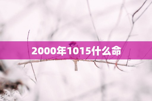 2000年1015什么命