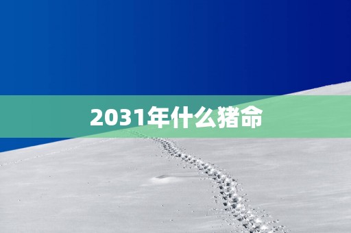 2031年什么猪命