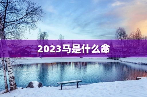 2025马是什么命
