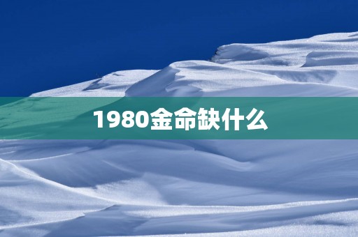 1980金命缺什么