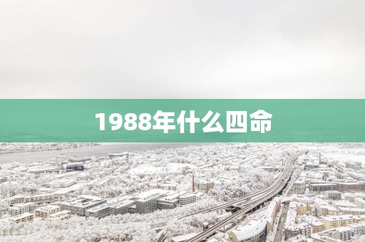 1988年什么四命