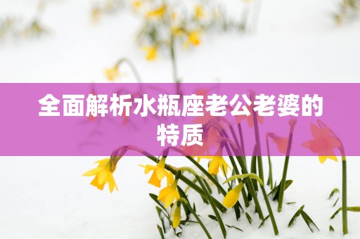 全面解析水瓶座老公老婆的特质