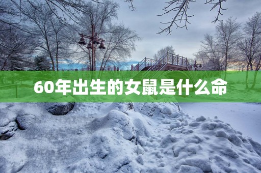 60年出生的女鼠是什么命