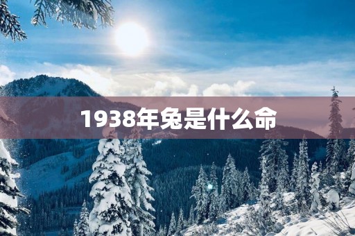 1938年兔是什么命