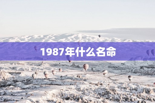 1987年什么名命