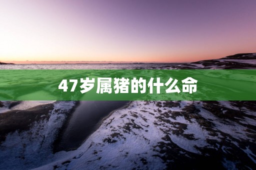 47岁属猪的什么命 47岁属猪的什么命