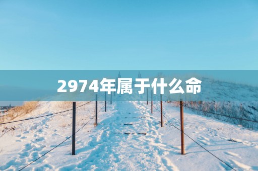 2974年属于什么命