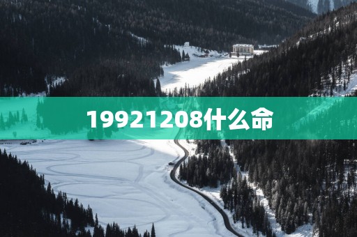 19921208什么命