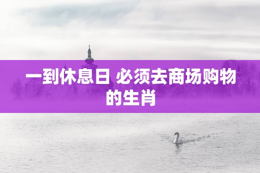 一到休息日 必须去商场购物的生肖