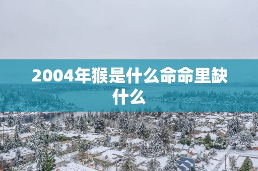 2004年猴是什么命命里缺什么