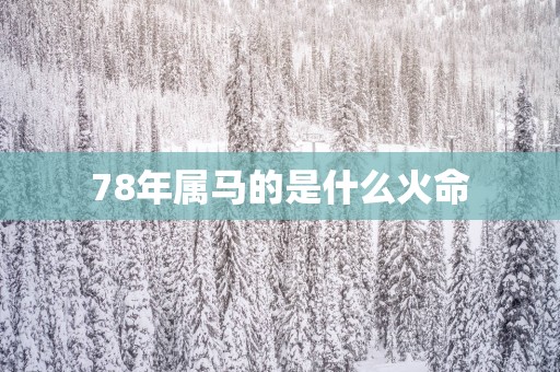 78年属马的是什么火命