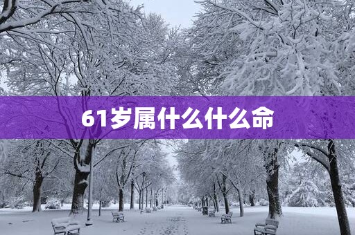 61岁属什么什么命