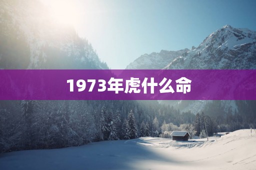 1973年虎什么命