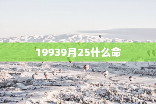 19939月25什么命