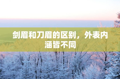 剑眉和刀眉的区别，外表内涵皆不同