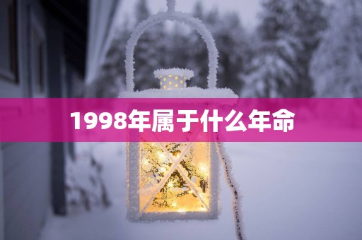 1998年属于什么年命